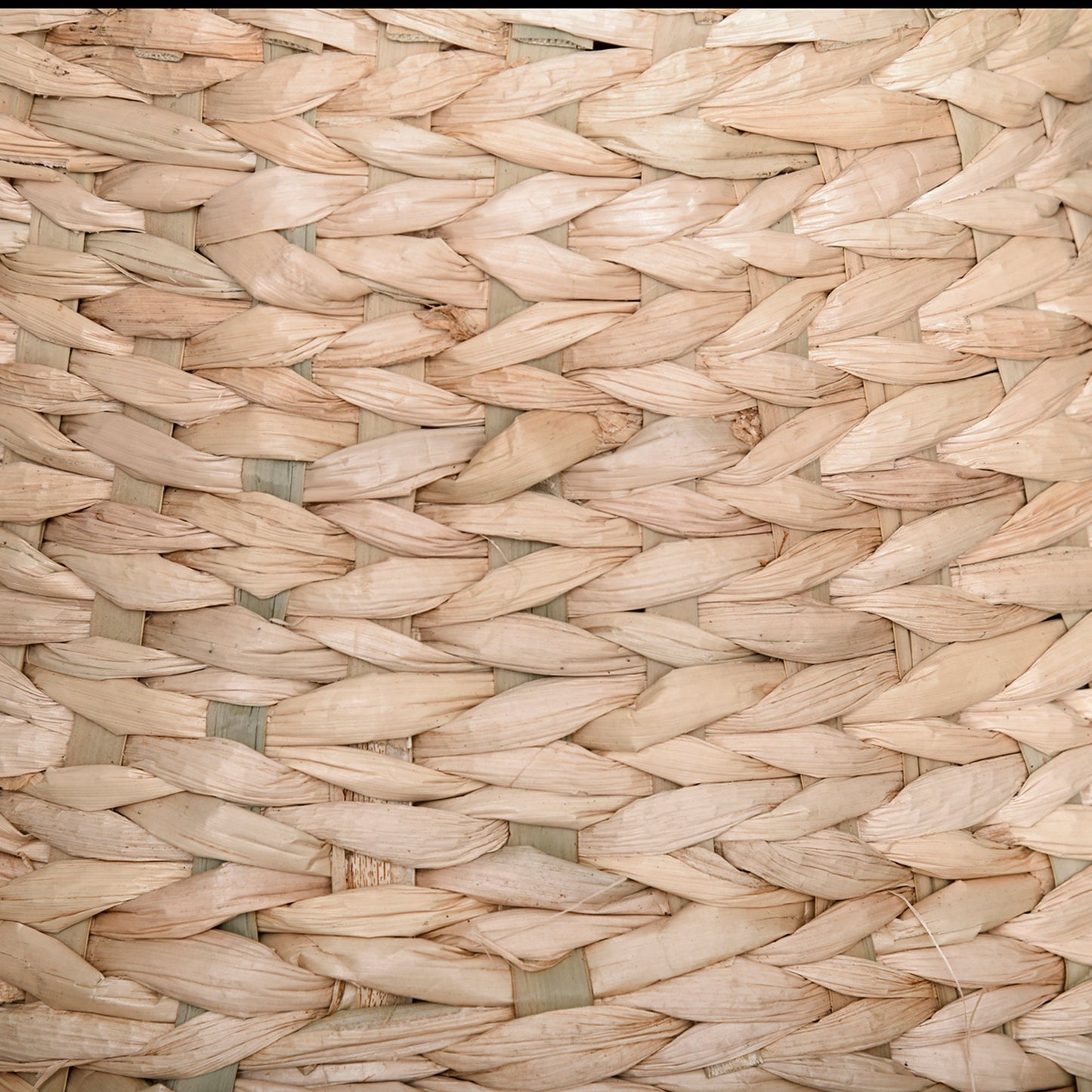 PawHut Katzenbaum Kratzbaum Kätzchen Möbel mit Katzenhöhle Ballspielzeug Sisal weiche Plüsch Höhe 82,5 cm Gelb