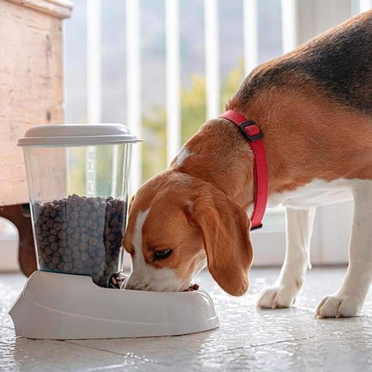 FERPLAST Dispenser Zenith 3L plastic - 29,2x20,2x28,8 - Blue - Dog and cat