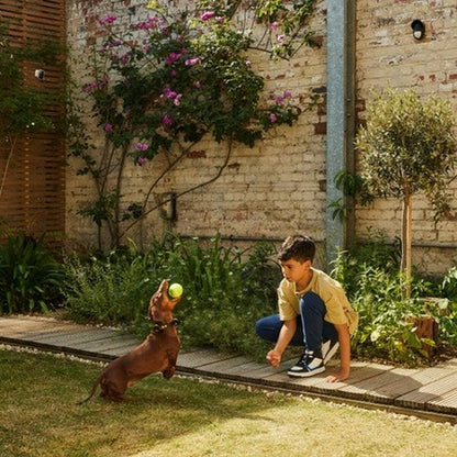 V3H8B6E4E7634E3F9855333953F43F11483R5841843P9