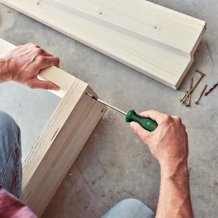 Bosch - Set of 6 Premium screwdrivers with magnetizer (6 screwdrivers in extra hard S2 steel magnetizer demagnetizer)