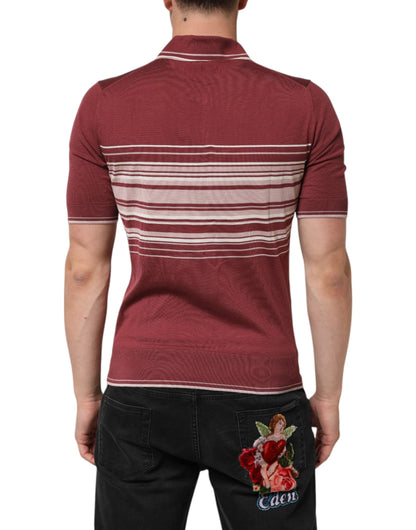 Cotton Burgundy Striped DG Logo Polo  T-shirt